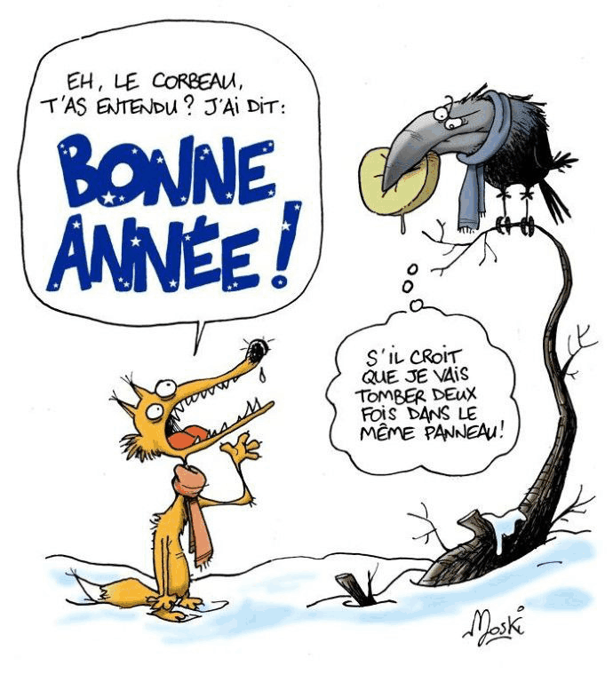 image non chargée